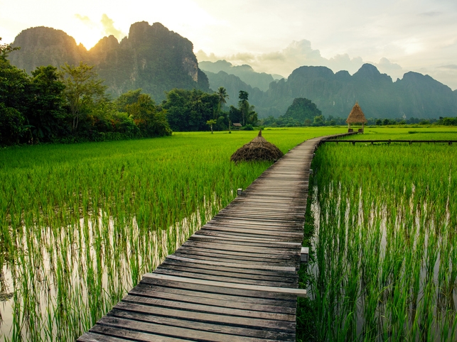 Reisfelder & Steg - Vang Vieng - Laos