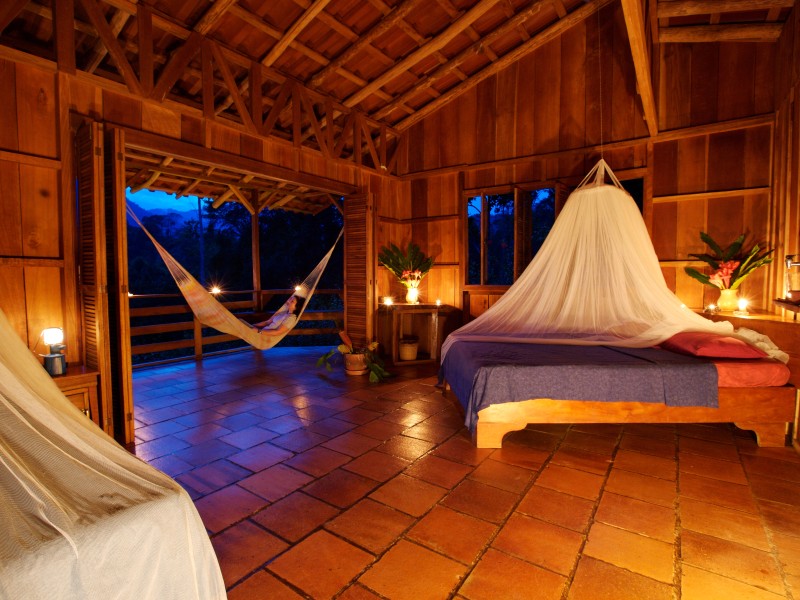 Selva Bananito Lodge - Superior Bungalow