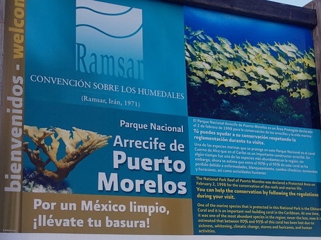 Puerto Morelos - Schnorcheln