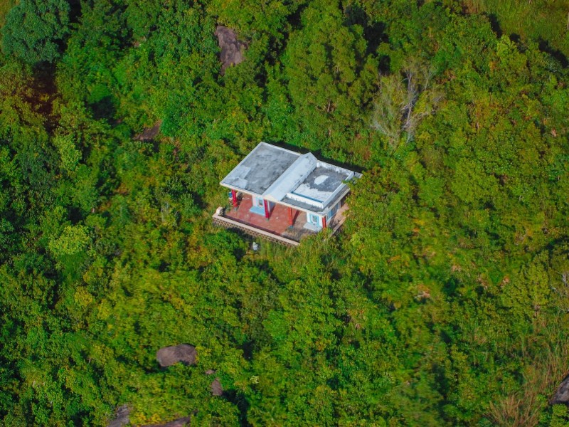 Phu Quoc Jungle
