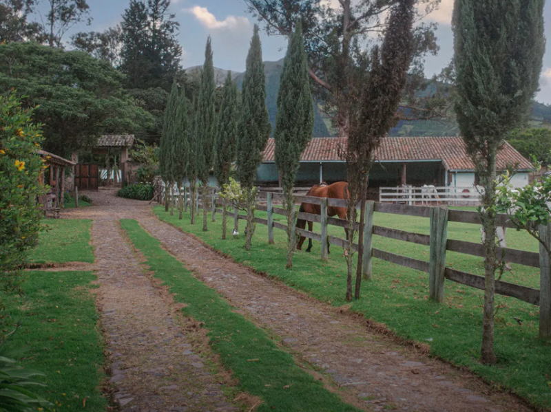 Stables