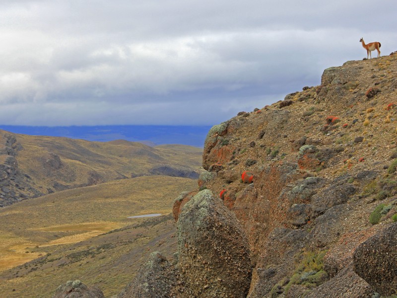 Torres  del   Paine