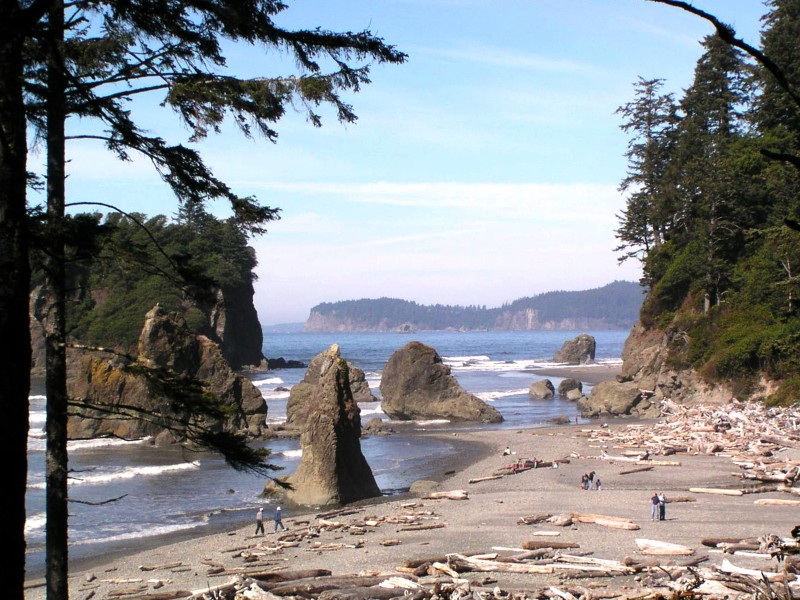 USA - USA West - Olympic Peninsula, WA