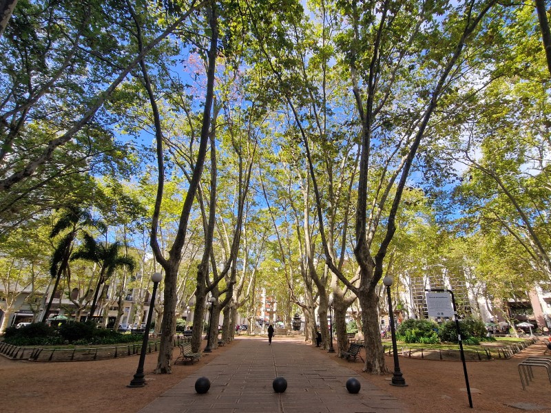 Montevideo - Altstadt Park