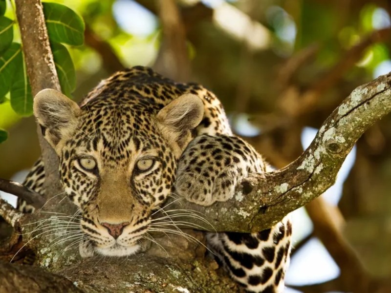 Serengeti National Park