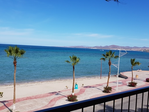 Posada de las Flores - Malecon
