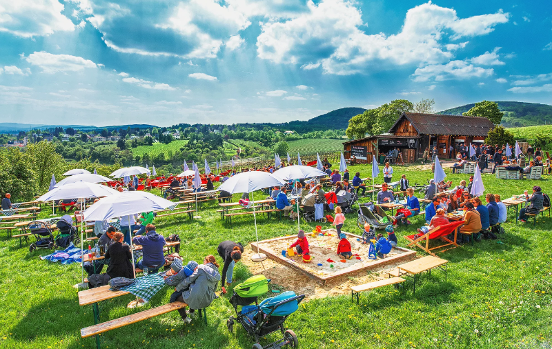 Vienna’s Nussberg Vineyards