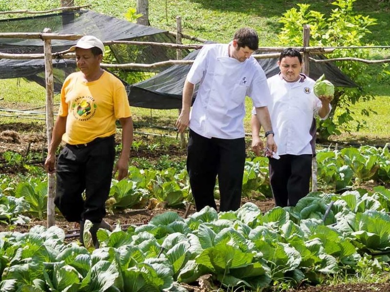 Chaa Creek - Organic Garden