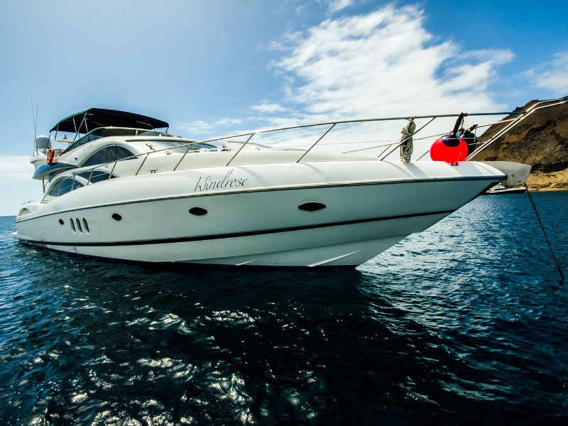 Luxus-Tagesboot Windrose