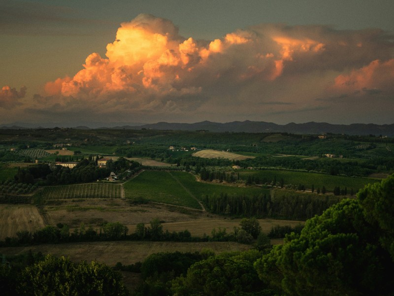 9-day Cycling on Via Francigena from Sie