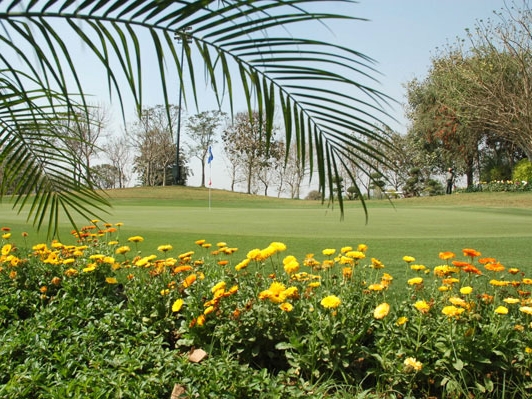 DLF Golf 
