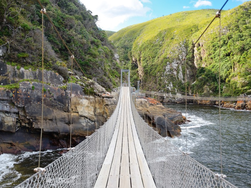 South Africa - Tsitsikamma