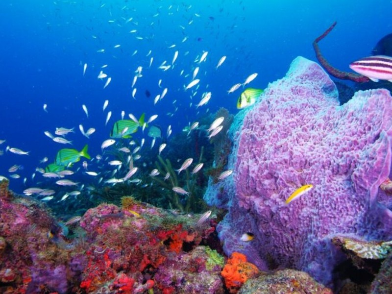 Underwater