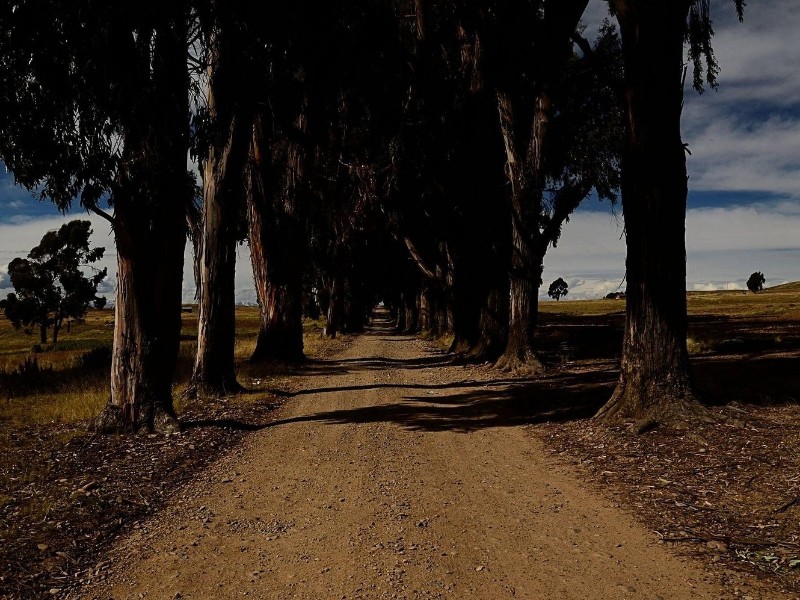 Private Tiwanaku and Titicaca Day Trip