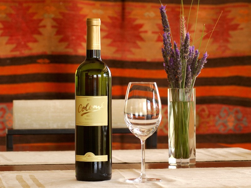 Estancia Colome - Bodega