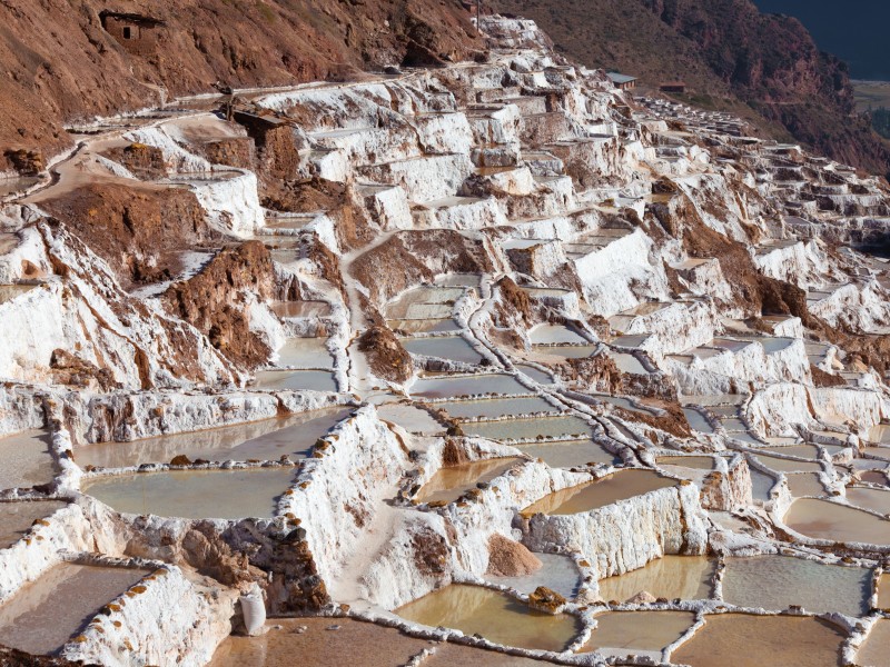 Maras