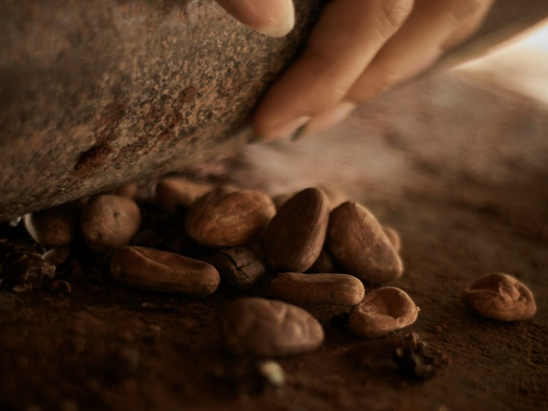 Oaxaca Artisanal Chocolate Experience