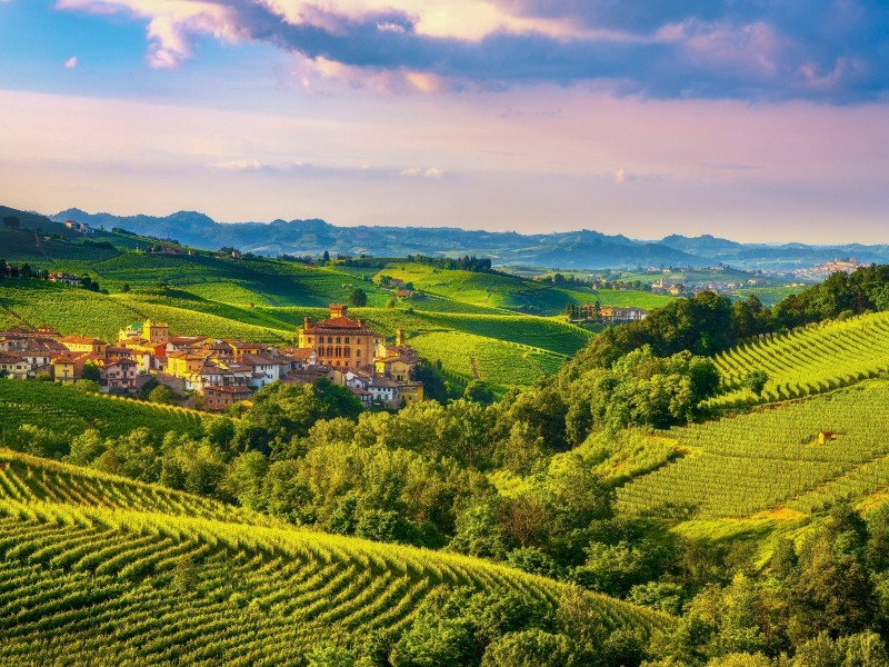 Italy - Piemonte - Barolo