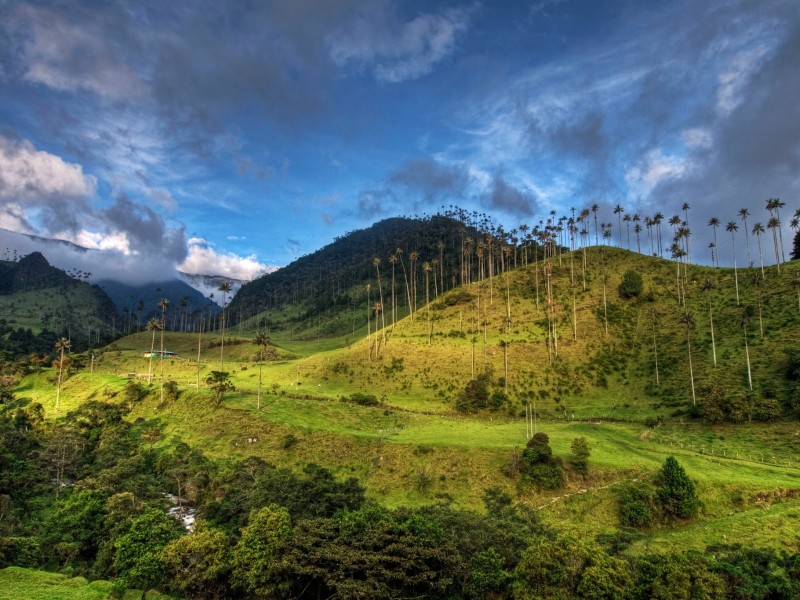 Cocora-Tal - Kaffeezone - Quindio