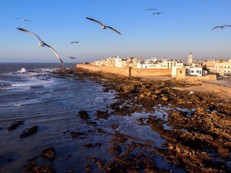 Morocco - Essaouira