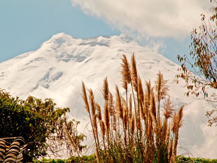 Hacienda San Agustin de Callo 