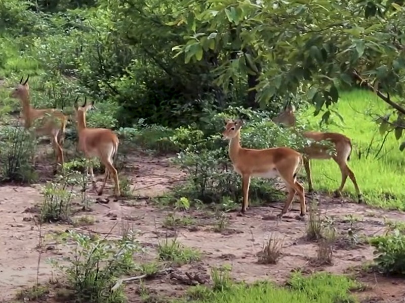 Shai Hills Reserve