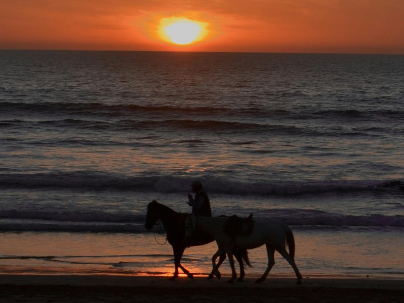 Horseback Beach Ride