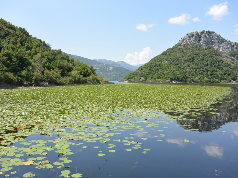 Skadar Lake
