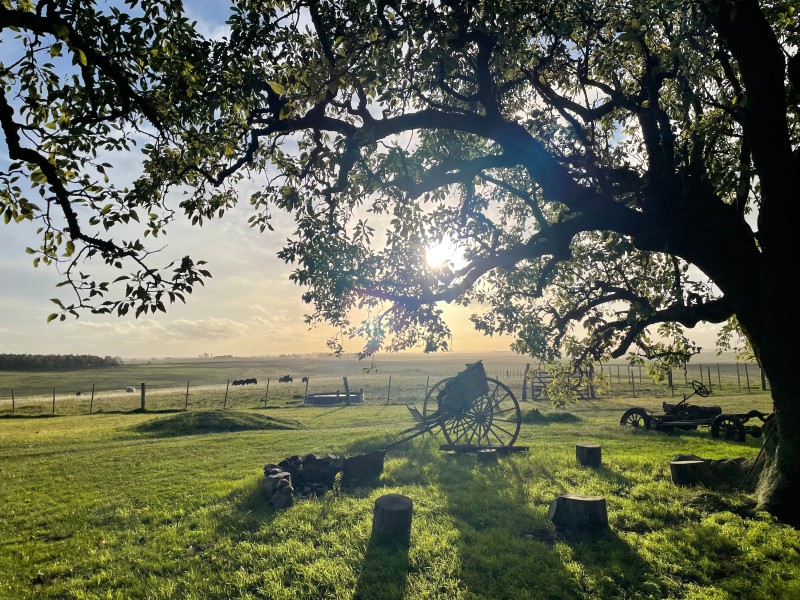 Estancia Los Platanos - Sonnenuntergang