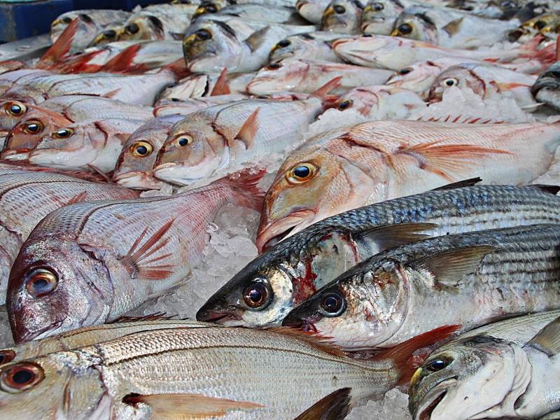 Fish Market