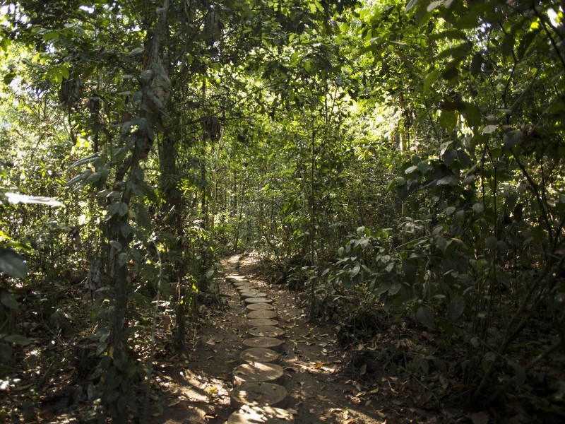 Reserva Amazonica - Urwaldpfad