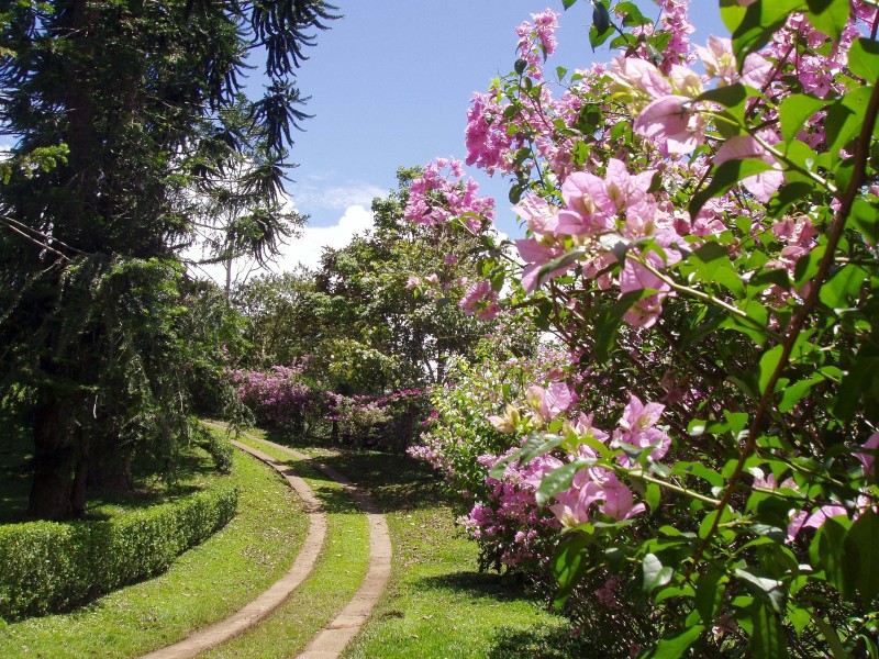Villa Florencia - Garten