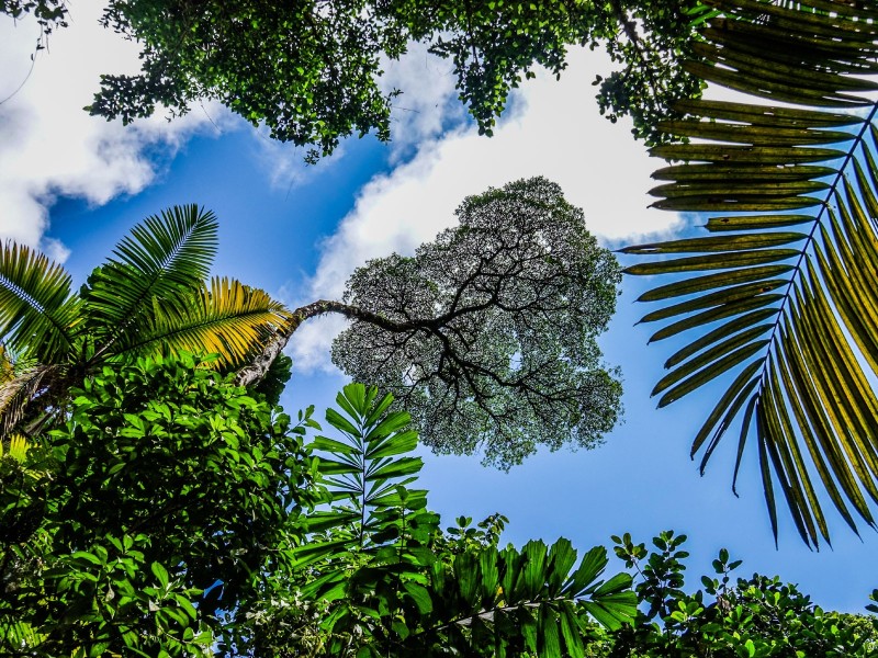 Blauer Himmel - Arenal