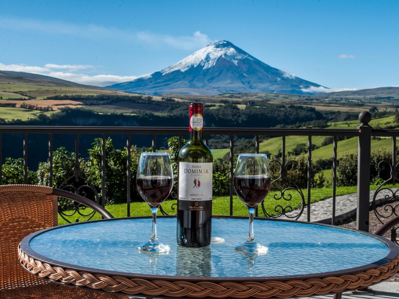 Glas Wein mit Aussicht