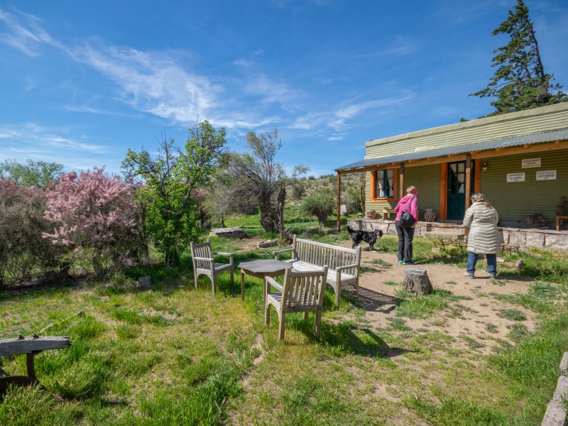 Campamento Darwin Garten