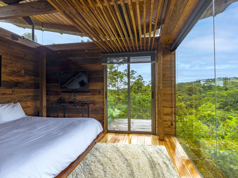 Ecolirios - Mountain Suite