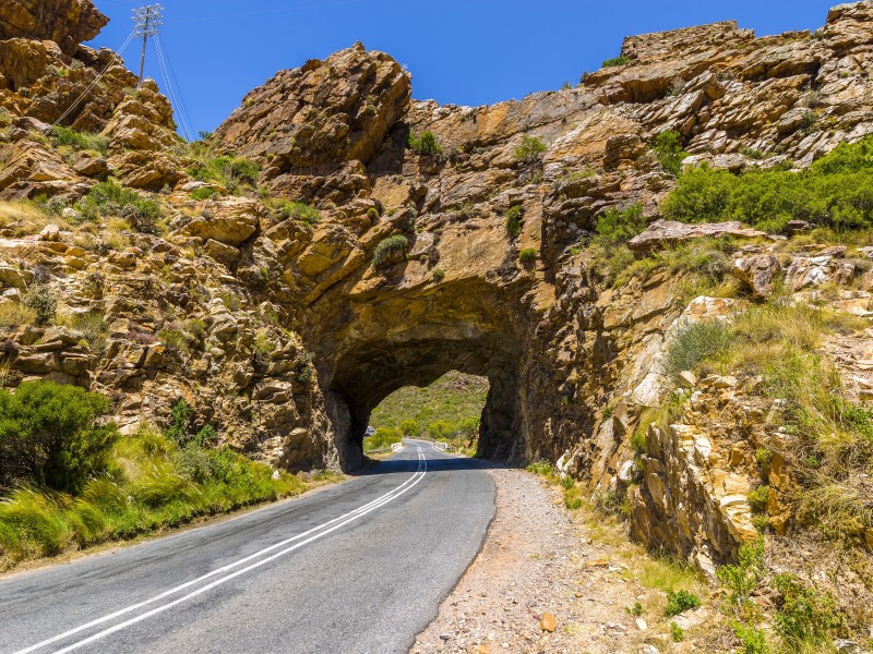 Außergewöhnliche und unvergessliche Erlebnisse an der Garden Route und am Westkap