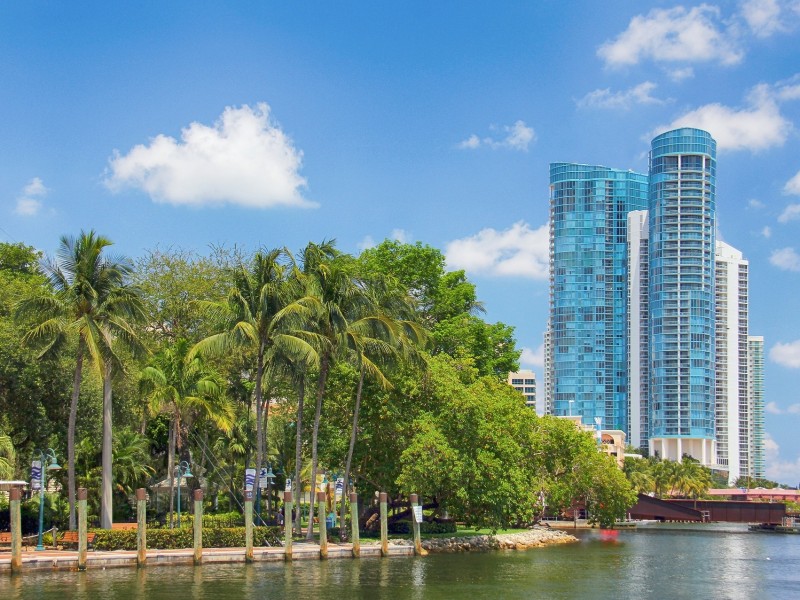 Building and palm trees Fort Lauderdade