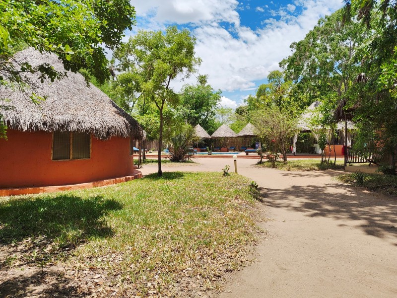 Africa Safari Selous