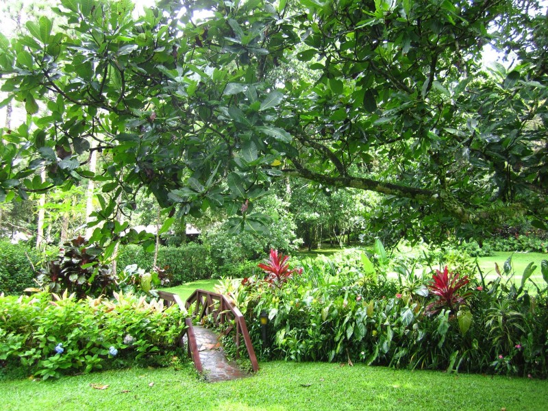 Park Eden B & B - Garten