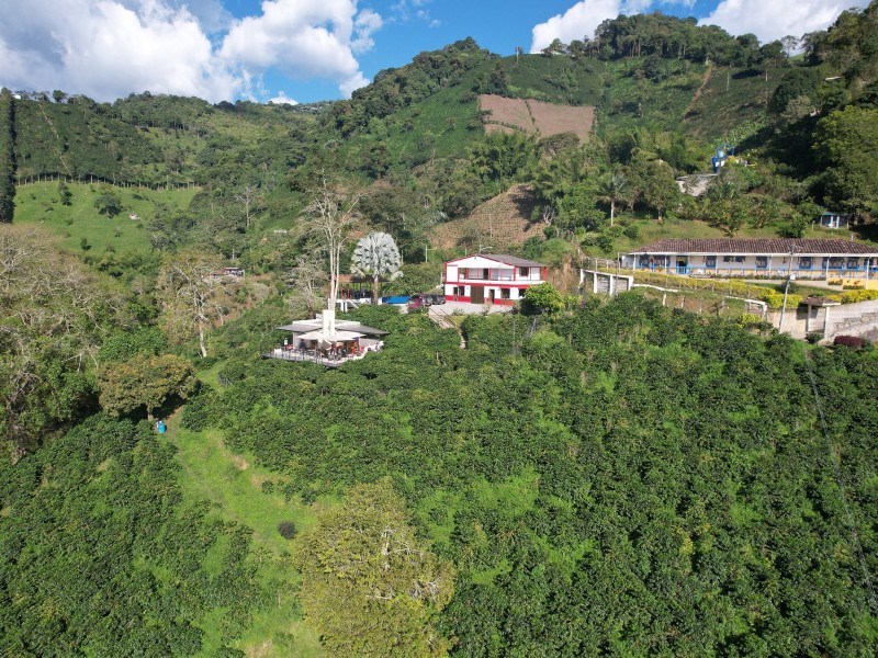 San Alberto