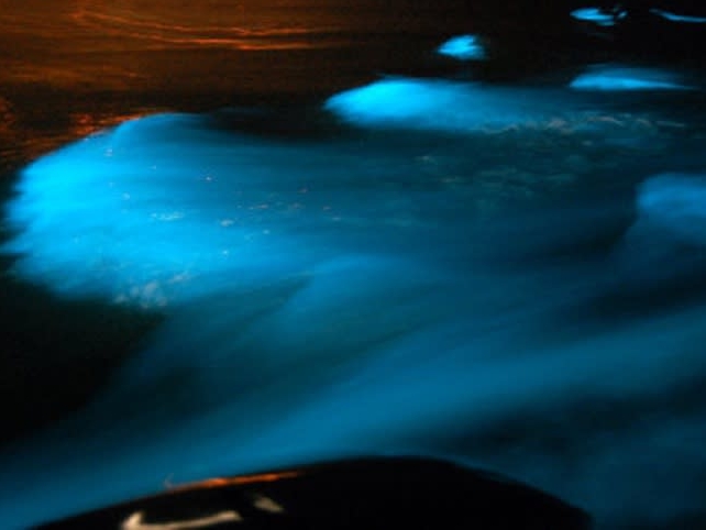 Luminous Lagoon
