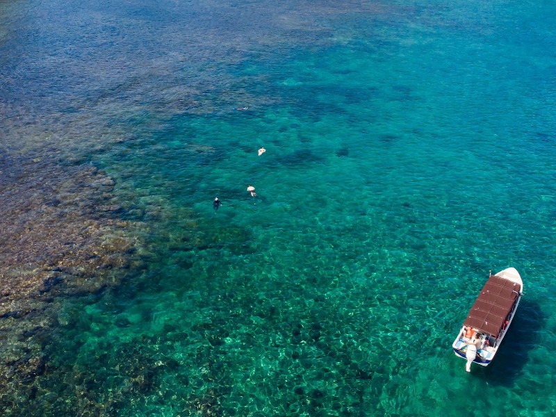 Golf von Chiriqui - Schnorcheln