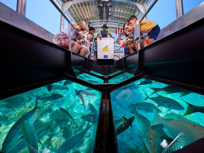 Glass-bottom boat 