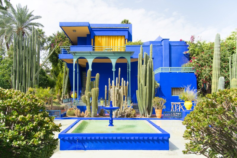 Morocco - Marrakesh - Jardin Majorelle