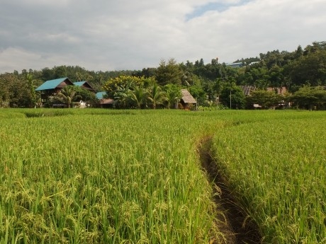 Thailand - Mae Hong Son