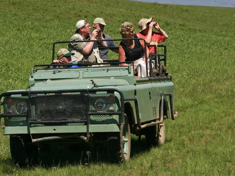 Jeep Safari
