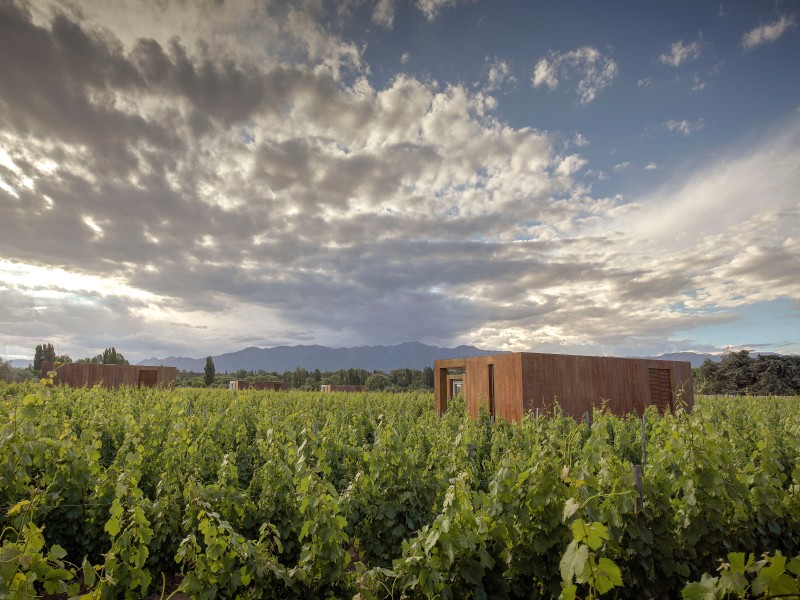 Entre Cielos - Vineyard Loft Panorama