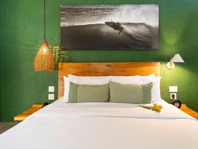 The Gilded Iguana - Premium Zimmer