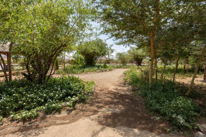 Garten – Africa Safari Lake Natron